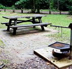 Bellbird campground - Sydney 4u