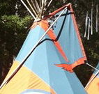 Central Coast Eco Tours - Sydney 4u