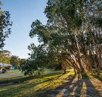 Delicate campground - Sydney 4u