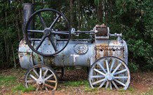 Dingo Tops Campground - Accommodation Sydney 0