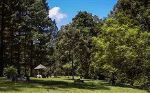 Dingo Tops Campground - Accommodation Sydney 2