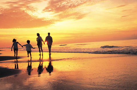 Seacrest Apartments - Accommodation Sydney 1