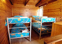Shelly Beach Cabins - Sydney 4u 7