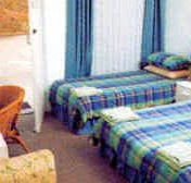 Tall Timbers Motel - Sydney 4u