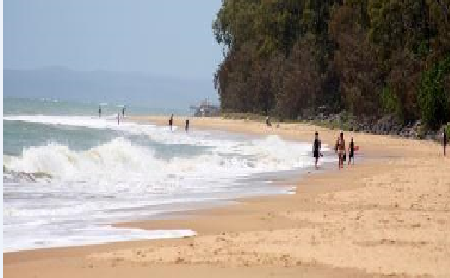 Torquay Beachfront Tourist Park - Sydney 4u 2