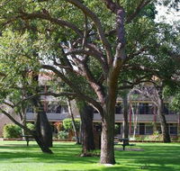 Trinity - Accommodation Sydney