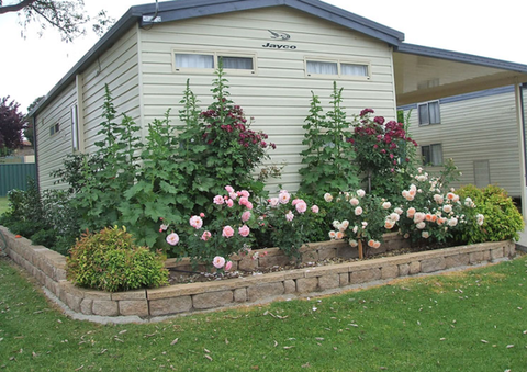 Walcha Caravan Park - Accommodation Sydney 3