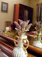 Wallaby Ridge Retreat - Accommodation Sydney 4