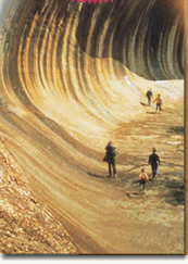 Wave Rock Hotel Motel - Accommodation Sydney 2