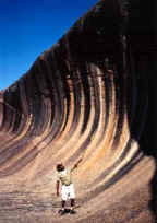 Wave Rock Hotel Motel - Accommodation Sydney 3