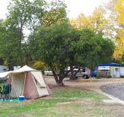 Wedderburn Pioneer Caravan Park - Sydney 4u