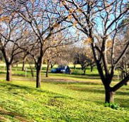 Wellington Caves Caravan Park - Sydney 4u