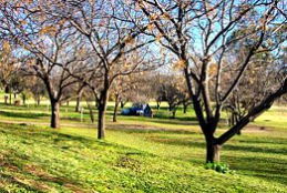 Wellington Caves Caravan Park - Sydney 4u 0