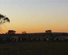 Goodwood Stationstay - Sydney 4u 1