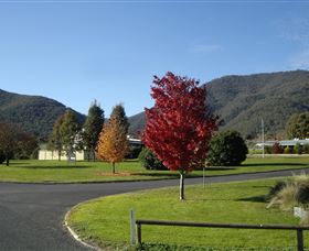 Talbingo Country Club - Accommodation Sydney 0