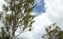 Glen Villa Resort And Tourist Park Casino - Sydney 4u 0