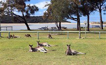 Lake Conjola Entrance Holiday Park - Sydney 4u 2
