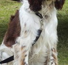 Merimbula Lake Holiday Park - Accommodation Sydney