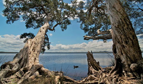 Mungo Brush Campground - Sydney 4u 1
