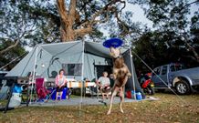 North Coast Holiday Parks North Haven - Accommodation Sydney 6