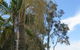 Pelican Park - thumb 2