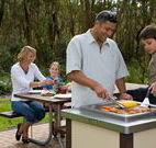 Port Stephens Treescape - Accommodation Sydney