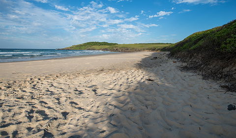 Racecourse Campground - Accommodation Sydney 2