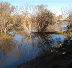 Warrawong on the Darling - Sydney 4u