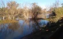 Warrawong On The Darling - Accommodation Sydney 0