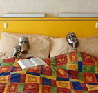 Budget Winchester Motel - Moree - Accommodation Sydney