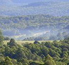 Nowendoc Country Motel - Nowendoc - Accommodation Sydney