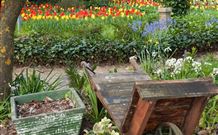 The Carrington Inn - Accommodation Sydney 0