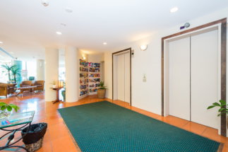 The Emerald Surfers Paradise - Accommodation Sydney 1