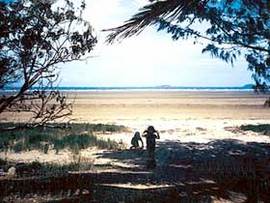 Midge Point QLD Accommodation Sydney