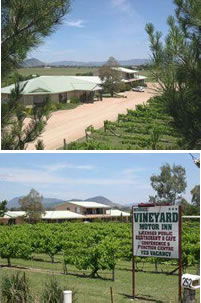 Mudgee Vineyard Motor Inn - Sydney 4u 0