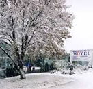 Maneroo Motel - Sydney 4u