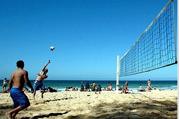 Manly Cottage Inn - Accommodation Sydney 1