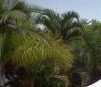 Ballina Beach Resort - Accommodation Sydney 4