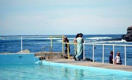 Harbour Royal Motel - Accommodation Sydney 4