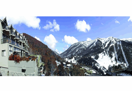 The Lantern Apartments - Accommodation Sydney