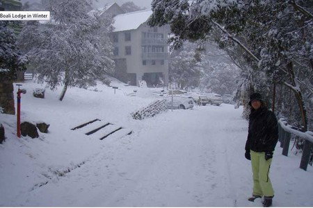 Boali Lodge - Accommodation Sydney 4