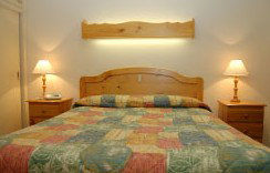 Best Western Fawkner Airport Motor Inn & Serviced Apartments - Accommodation Sydney 1