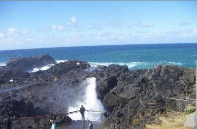 Kiama Ocean View Motor Inn - Sydney 4u 1