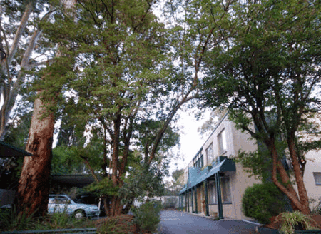Glenside SA Sydney 4u
