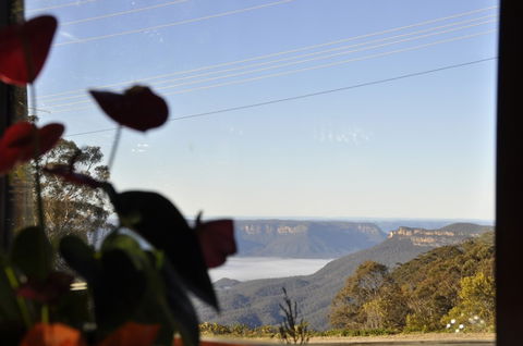 Jamison House And The Rooster Restaurant - Accommodation Sydney 1