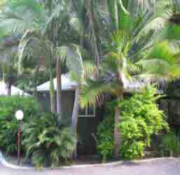 Nambour Rainforest Holiday Village - Sydney 4u 1