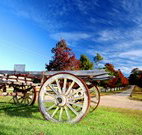 The Oaks Ranch and Country Club - Mossy Point - Accommodation Sydney