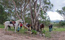 Hidden Valley Farm - Sydney 4u 1