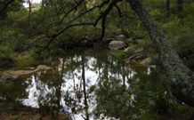 Palm Grove NSW Sydney 4u
