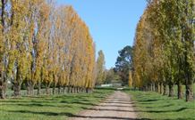 Kangadoo Cottage - Accommodation Sydney 1